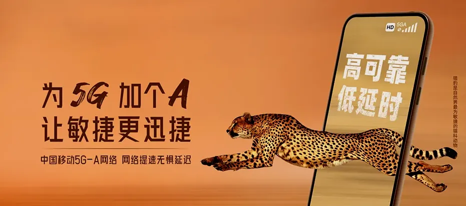 浑南区东陵区高坎街道 移动宽带